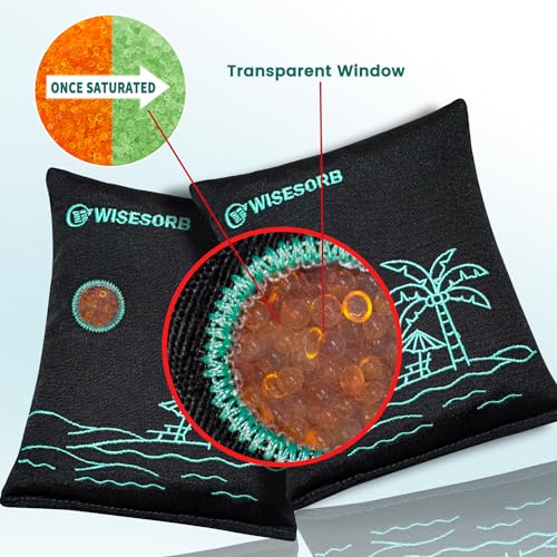500g x 2pcs Rechargeable Desiccant Packs (2 Count)