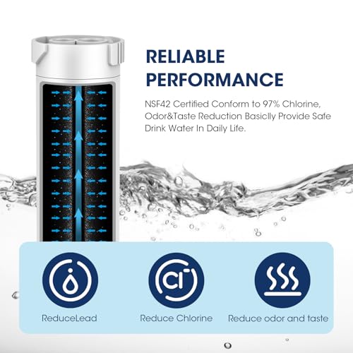 XWFE (Built-in CHIP) Refrigerator Water Filter Pack of 3 (3 Count)