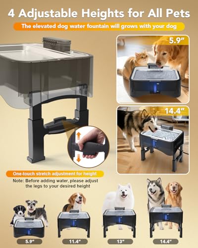 8.5L Elevated Dog Water Fountain with 4 Heights Adjustable