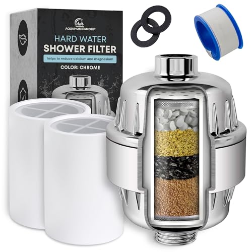 Shower Head Filter (2 Count)