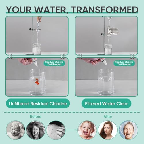 Shower Filter