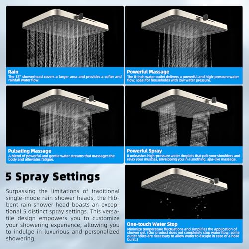 13'' Filtered Shower Head with 10