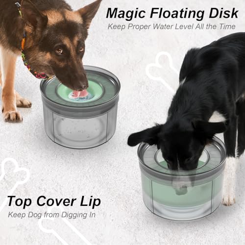 No Spill Water Bowl for Dogs