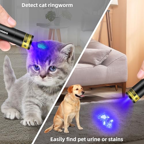 UV Flashlight Filtered 365nm Black Light Woods Lamp Ringworm