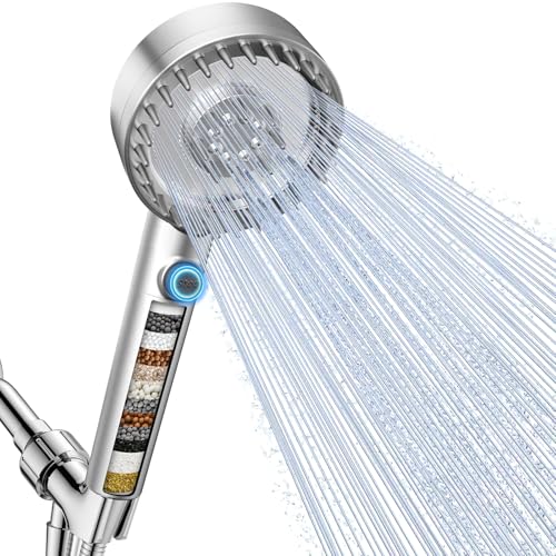 Filtered Shower Head with Handheld