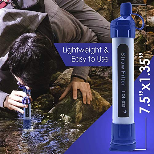 4 Pack Water Filter Straw (4 Count)