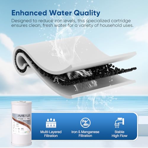 10" x 4.5" Whole House Iron Reducing Sediment Filter Compound for Well (2 Count)