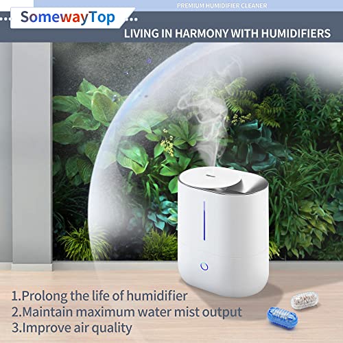 Humidifier Cleaner