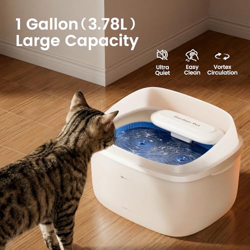 Cat Fountain 1 Gallon