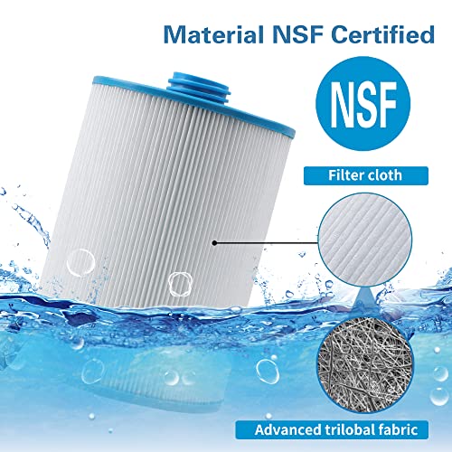PWW50 Spa Filter (2 Count)