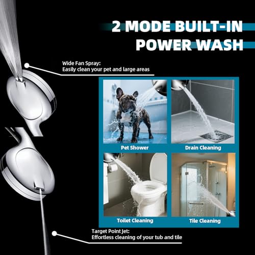Filtered Shower Head with Handheld