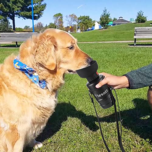 Dog Water Bottle