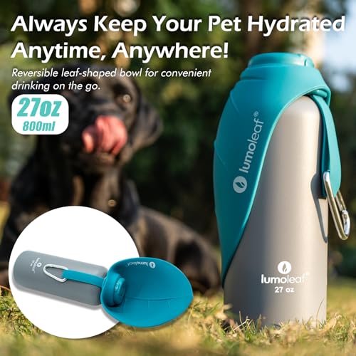 Insulated Dog Water Bottle 27 oz Stainless Steel