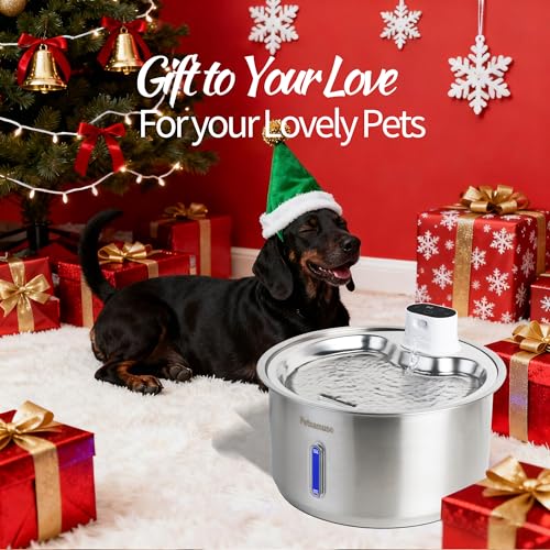 2.8Gal 11L Cordless Dog Water Fountain for Large Dogs