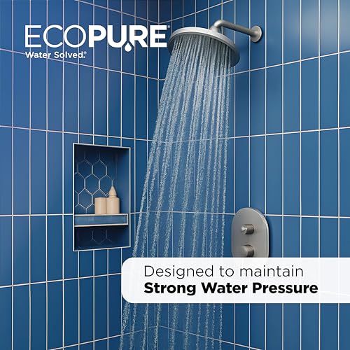 EPW2VC Whole Home Water Filtration System