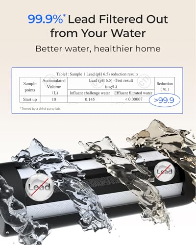 DLG L Under Sink Water Filter