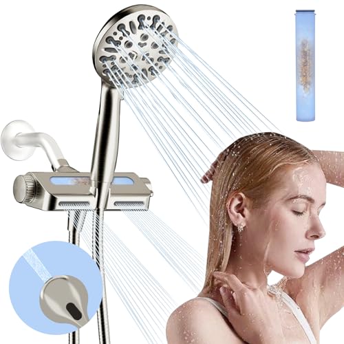 Filtered Shower Head with Handheld Combo
