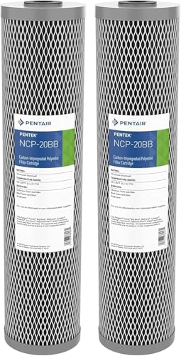 Pentair Pentek NCP (2 Count)