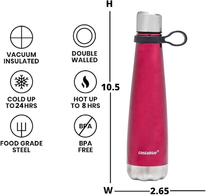 Insulated Water Bottle - On-The-Go Refillable Stainless Steel Water Bottles For Adults, Reusable Thermos Travel Tumbler With Leak-proof Lid For Hot & Cold Beverages (17 Oz. Wine)