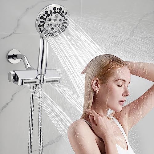Filtered Shower Head with Handheld Combo