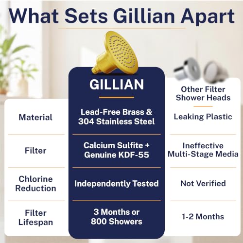 Gillian Filtered Shower Head for Hard Water