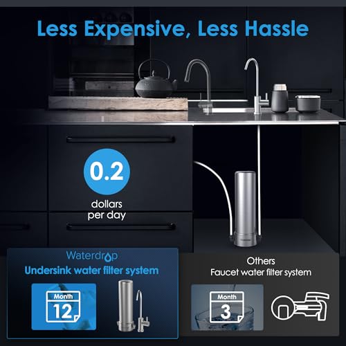 BS13 Under Sink Water Filtration System with Dedicated Faucet