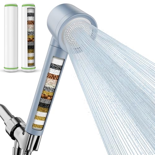 Filtered Shower Head with Handheld