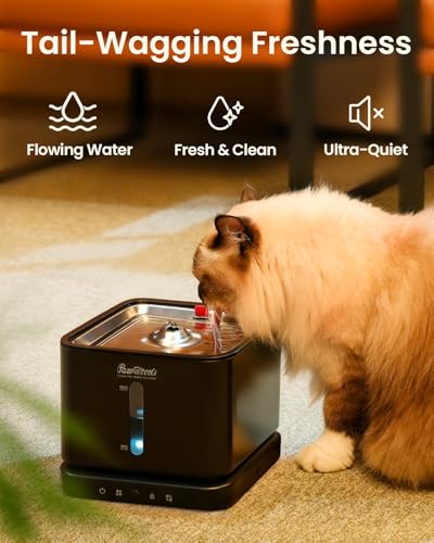 Cordless Cat Water Fountain