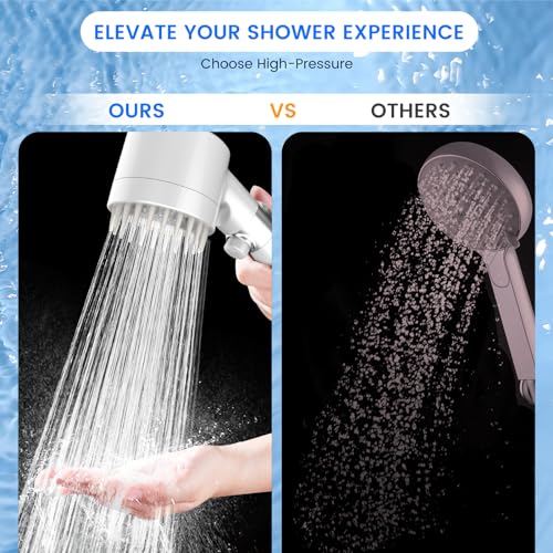 Filtered Shower Head with Handheld