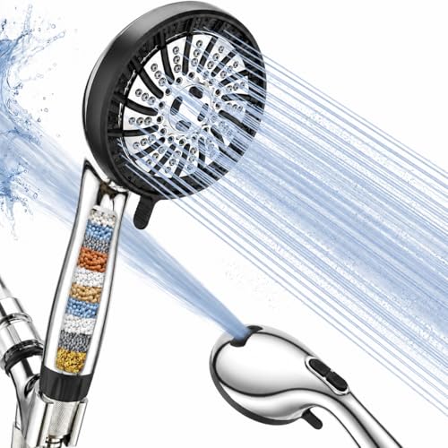 Filtered Shower Head with Handheld