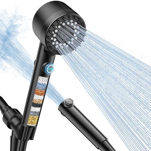 Filtered Shower Head with Handheld