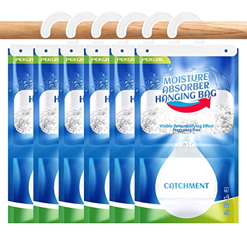 Moisture Absorber Packets 6 Packs (6 Count)