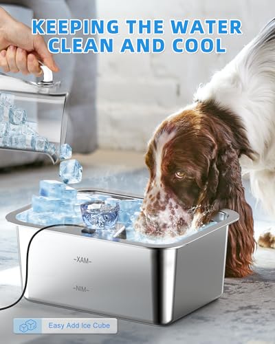 Dog Water Fountain