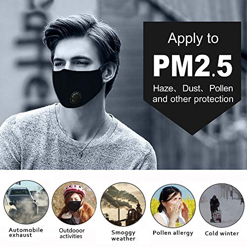 12 PCS PM2.5 Activated Carbon Face Mask Filter for Adults (12 Count)