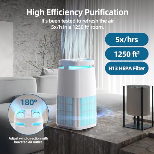 Air Purifiers for Home with Negative Ion and UV