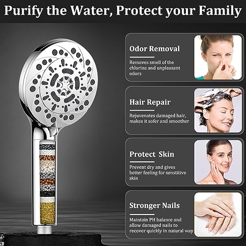 Filtered Shower Head with Handheld