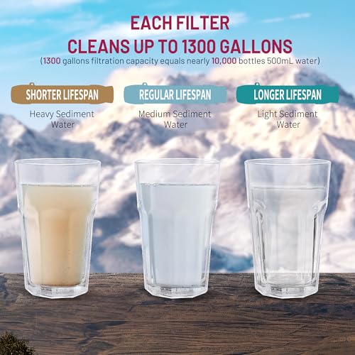 Emergency Water Filter Straw for Survival