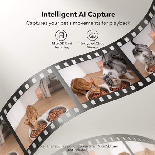 Automatic Cat Feeder with Camera for Two Cats