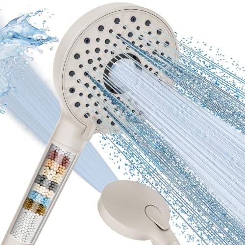 Shower Head with Handheld