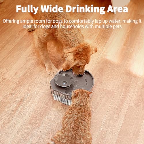 Dog Water Fountain