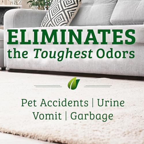 Bac Out Enzyme Cleaner Spray and Stain & Odor Remover for Pet Stains (64 Fl Oz)