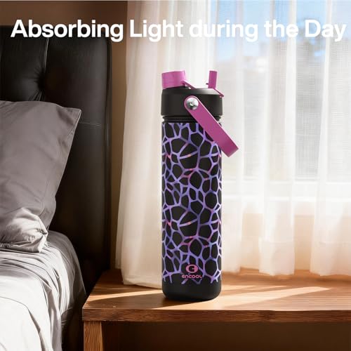 Insulated Water Bottle with Straw Stainless Steel Water Bottle