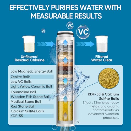 Filtered Shower Head with Handheld