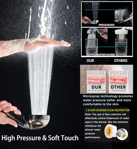 Filtered Shower Head with Handheld