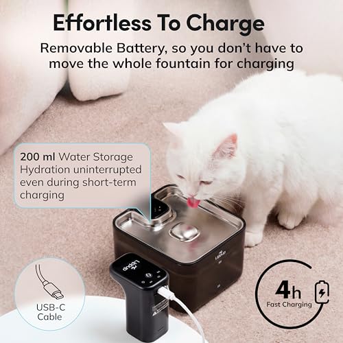 Cat Water Fountain Cordless