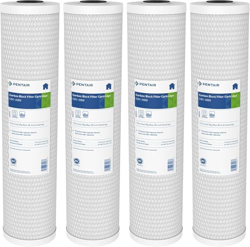 Pentair Pentek CBC20 (4 Count)
