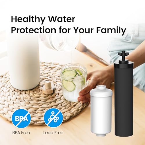 Gravity Water Filter (4 Count)