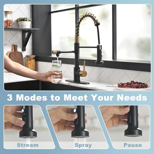 Black and Gold Drinking Water Faucet 3 in 1 Commercial Pull