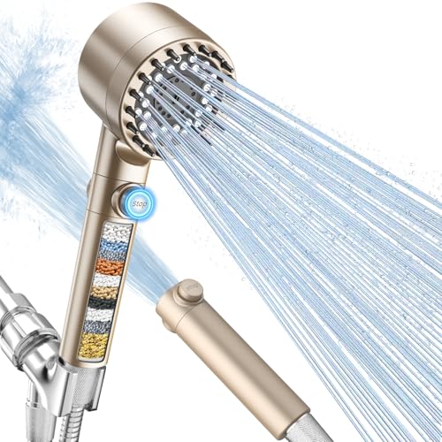 Filtered Shower Head with Handheld