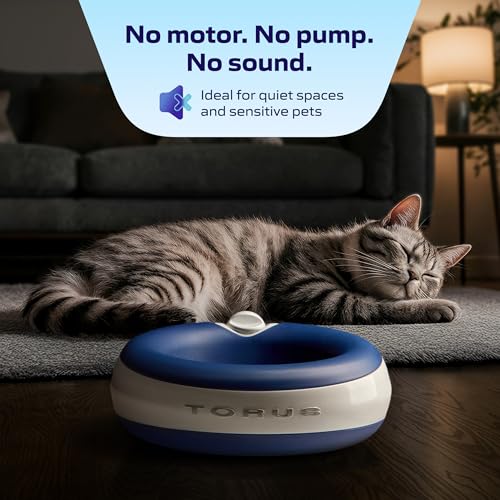 Maxi Filtered Dog Water Bowl